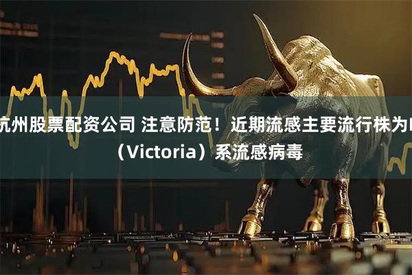 杭州股票配资公司 注意防范！近期流感主要流行株为B（Victoria）系流感病毒